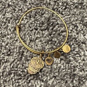 Alex and Ani Skull charm bracelet